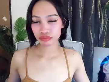 torishey