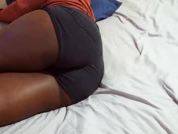 _bunny_b