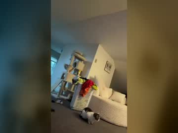 bsothicknhorny