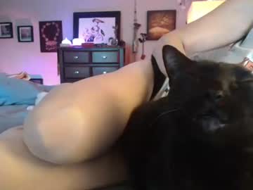 catnips_cabaret