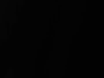 nerii11i