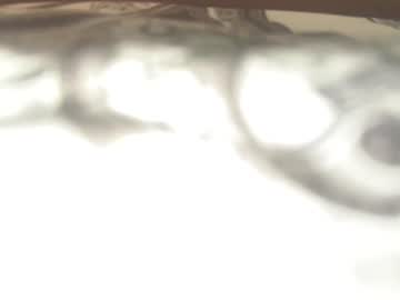 sdiego_horny67