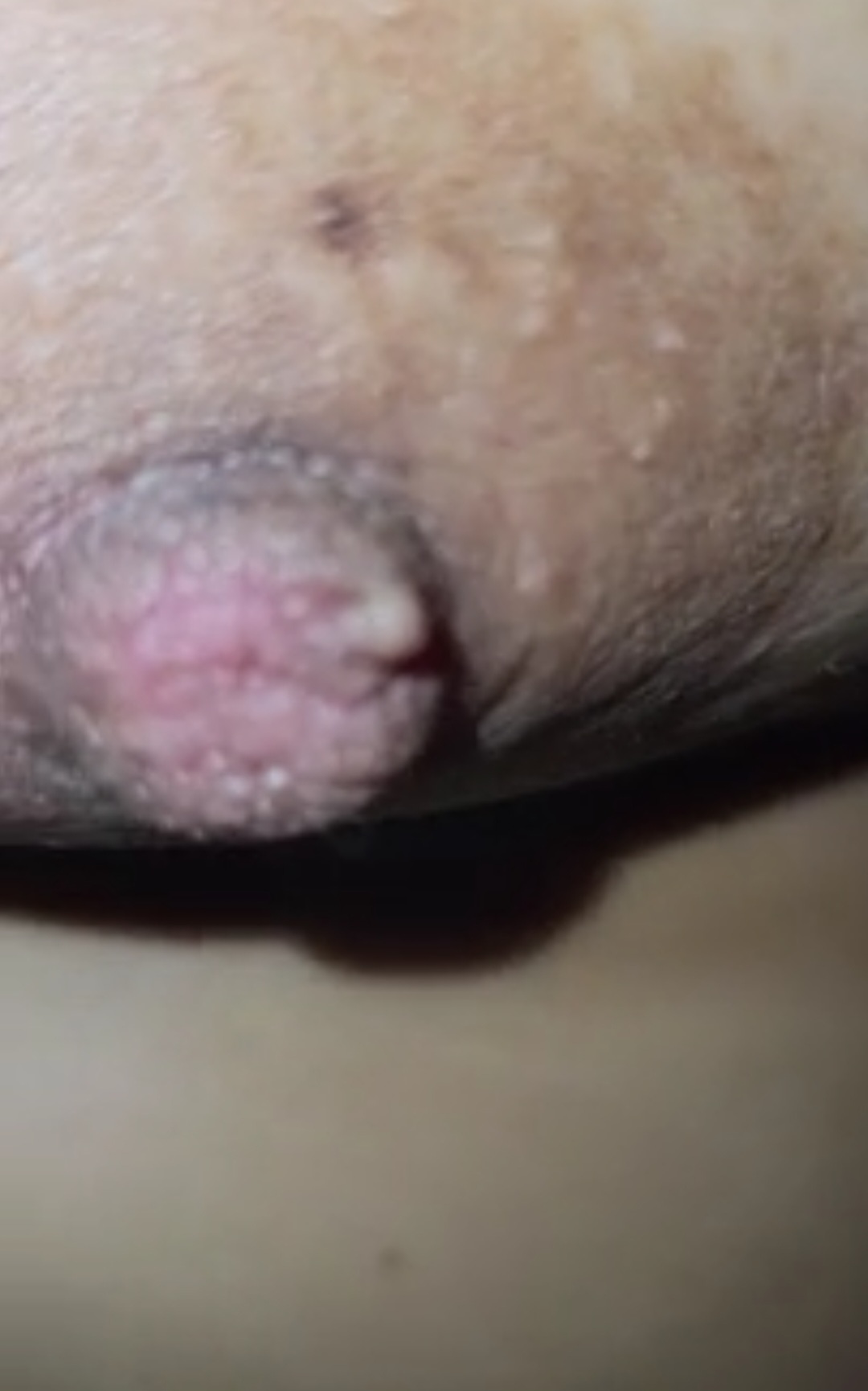 Conny creampie — 13