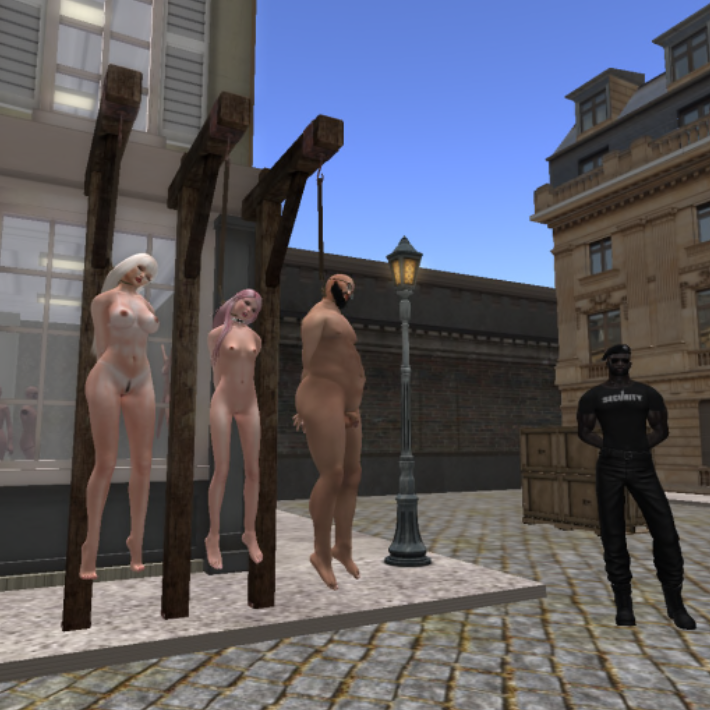 Second Life Game 2 — 19